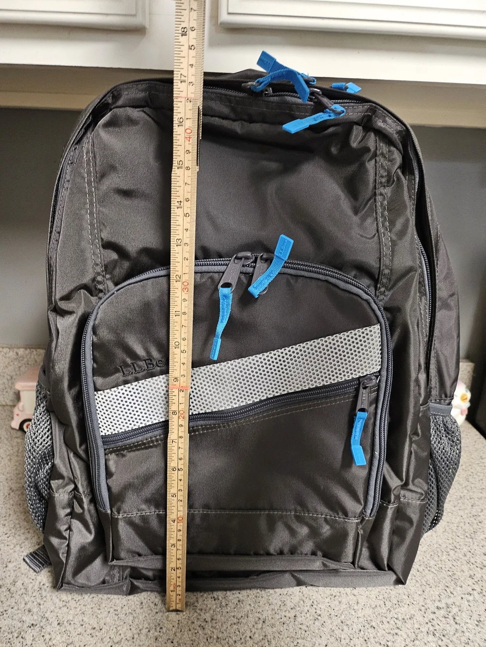 L.L. Bean Men's Black Backpack with Blue Accents